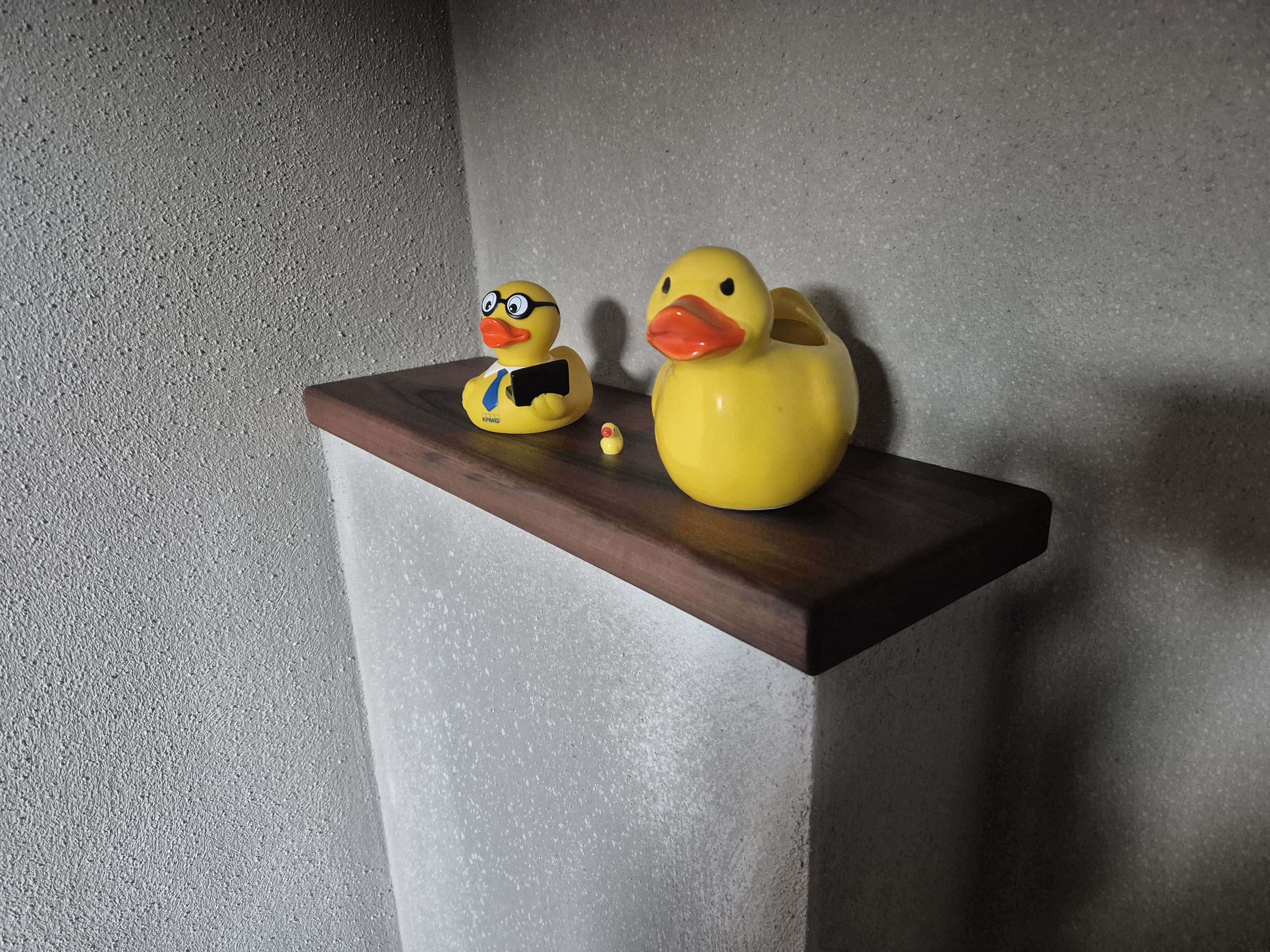 Mini Projects